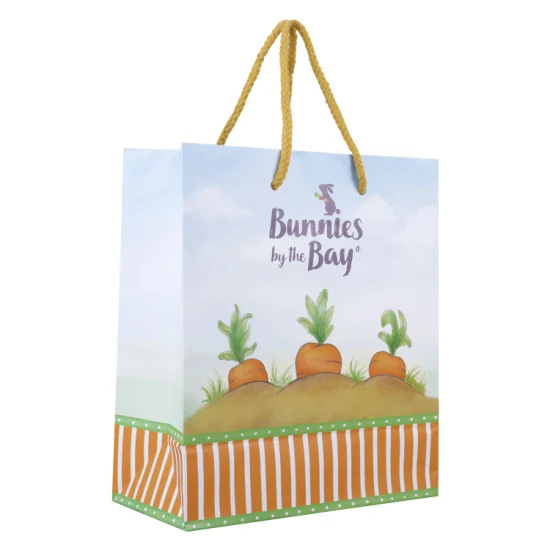Promotion Custom Luxury Printing Clothing/Cosmetic/Dress/Handle Paper Gift Shopping Bags